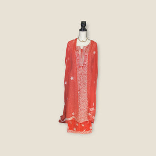 Heavy lakhnavi work coral suit